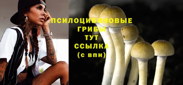 дмт Горнозаводск