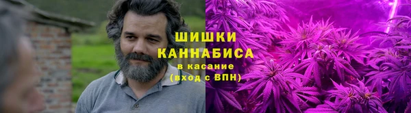 дмт Горнозаводск