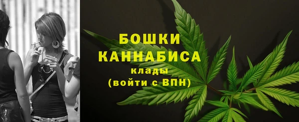 дмт Горнозаводск