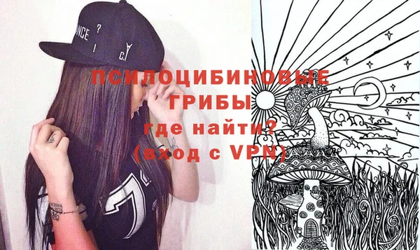 молекула духа Горняк