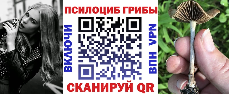 площадка наркотические препараты  Курск  Псилоцибиновые грибы мухоморы 
